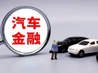 广南押车贷款不是本人可以么?